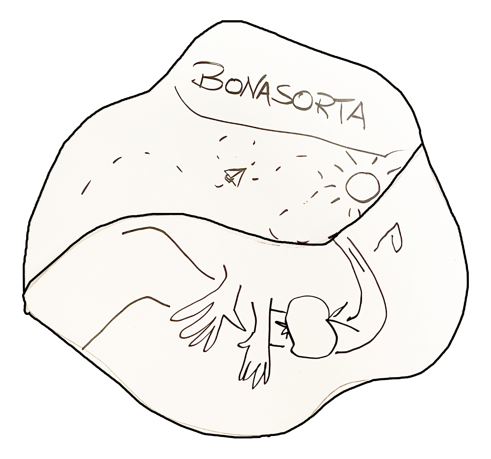 Bonasorta