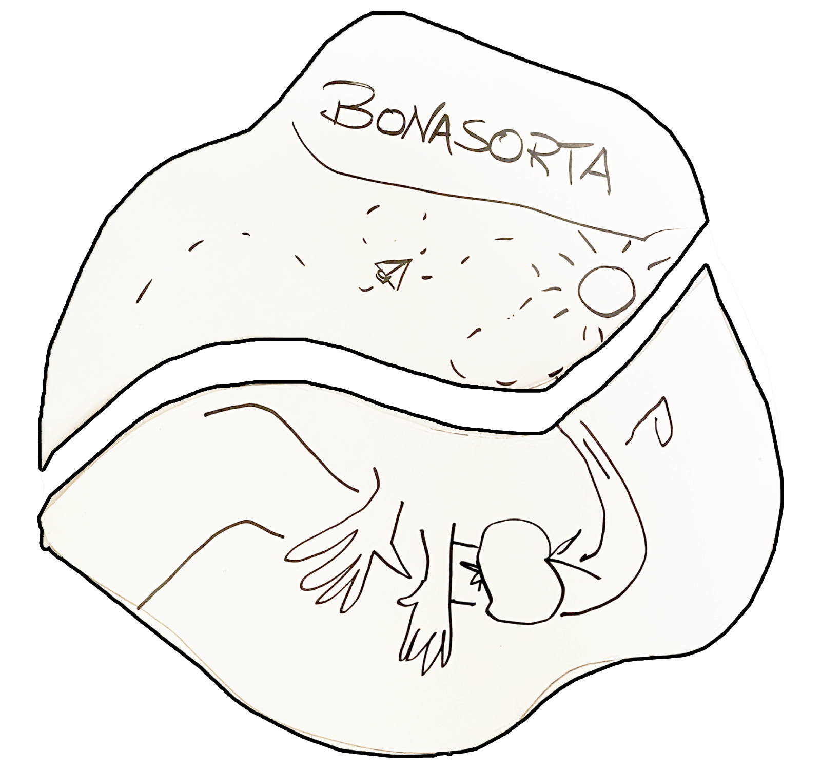 Bonasorta alt